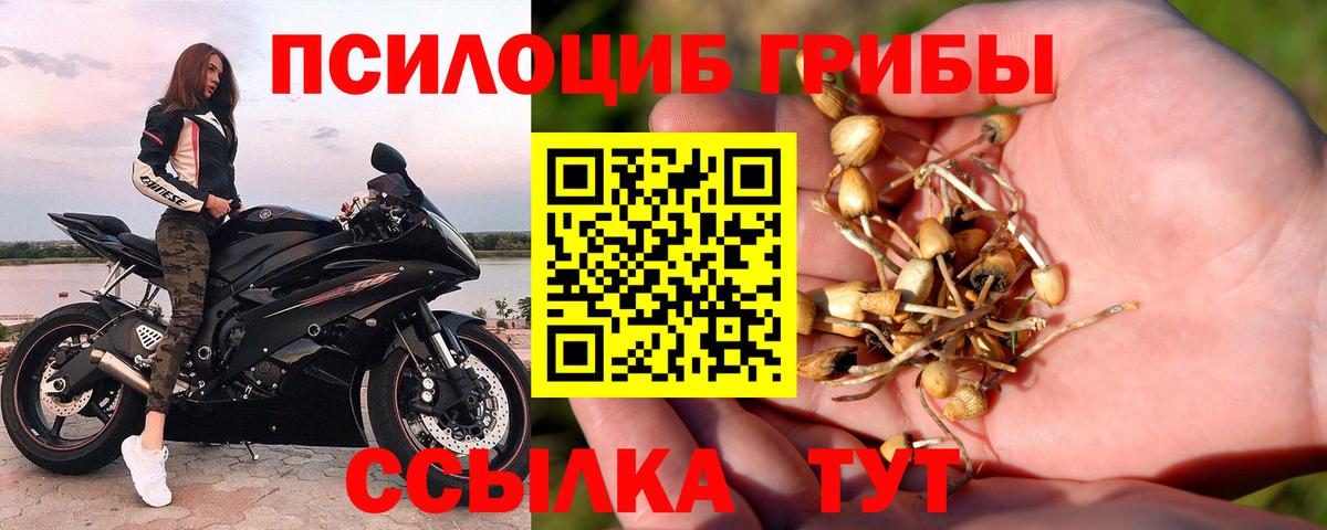 Тутаев  Галлюциногенные грибы прущие грибы  Вход с VPN 